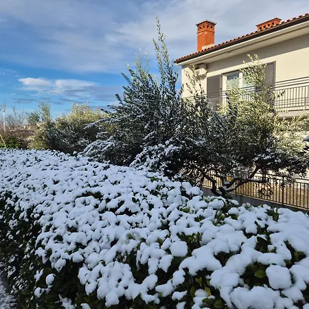 Meri Apartament Pula