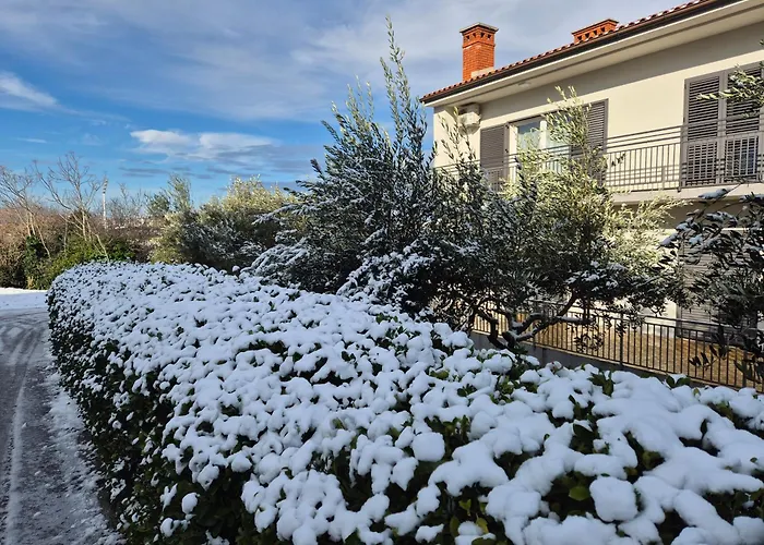 Meri Apartamento Pula